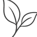 Leaf icon